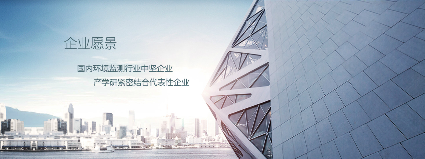 企业愿景